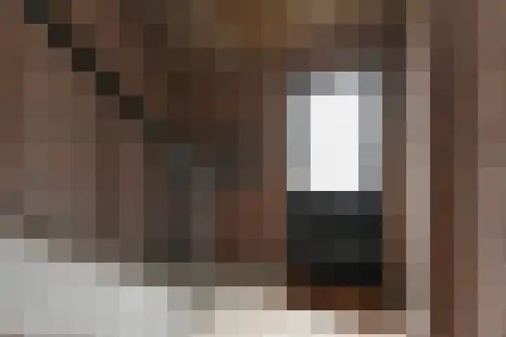 A. van der Tangstraat 24 Den Haag thumbnail 7