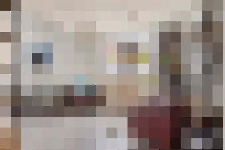 A. van Drielstraat 2 Aalst thumbnail 12