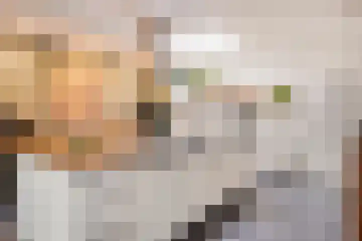 A. van Drielstraat 2 Aalst thumbnail 14