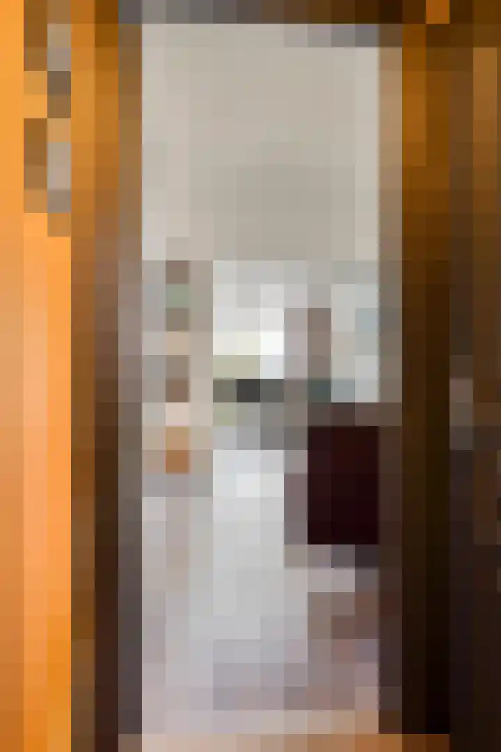 A. van Drielstraat 2 Aalst thumbnail 18