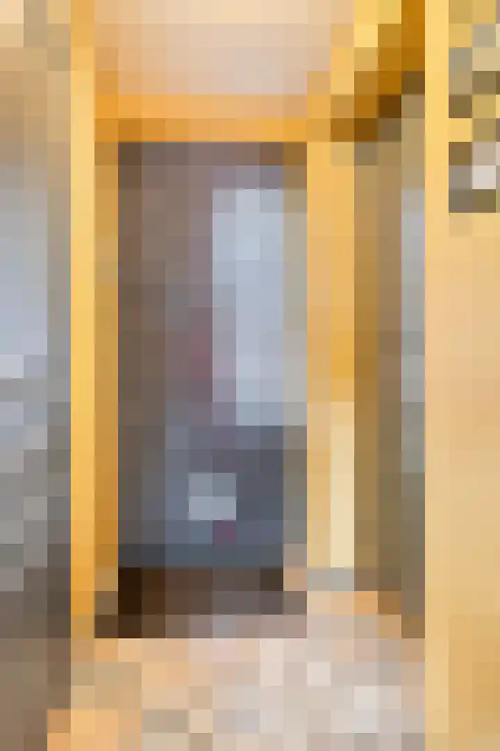 A. van Drielstraat 2 Aalst thumbnail 19