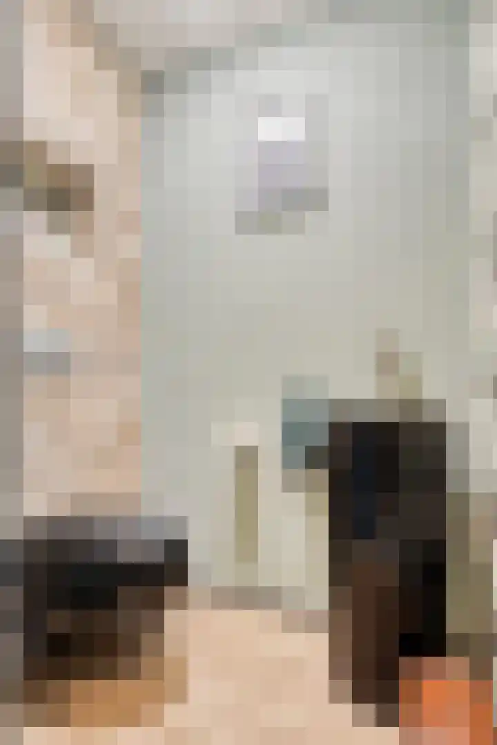 A. van Drielstraat 2 Aalst thumbnail 20
