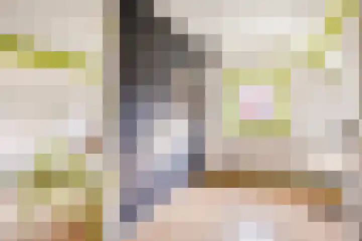 A. van Drielstraat 2 Aalst thumbnail 28