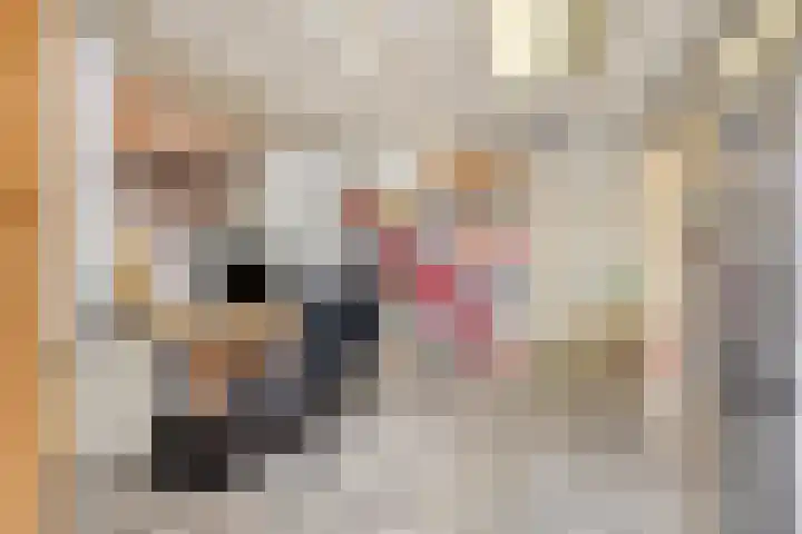 A. van Drielstraat 2 Aalst thumbnail 32