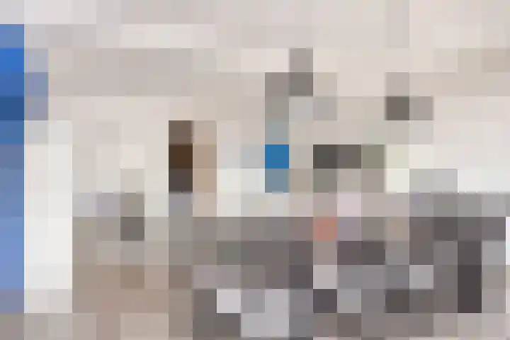 A. van Drielstraat 2 Aalst thumbnail 34