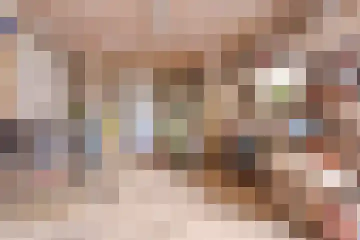 A. van Drielstraat 2 Aalst thumbnail 39