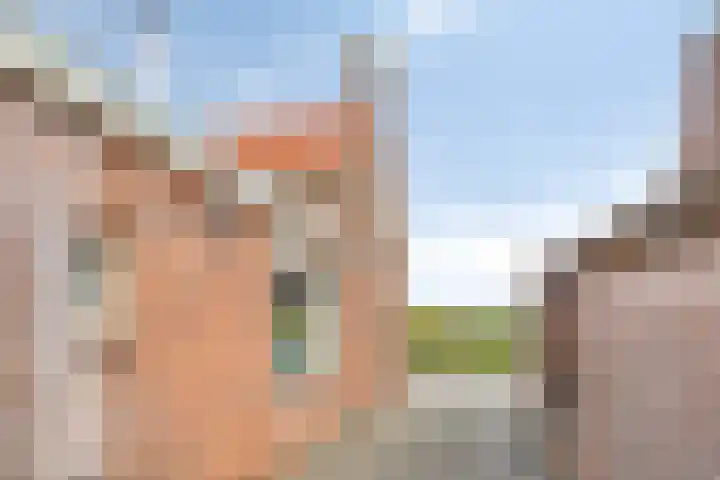 A. van Drielstraat 2 Aalst thumbnail 43