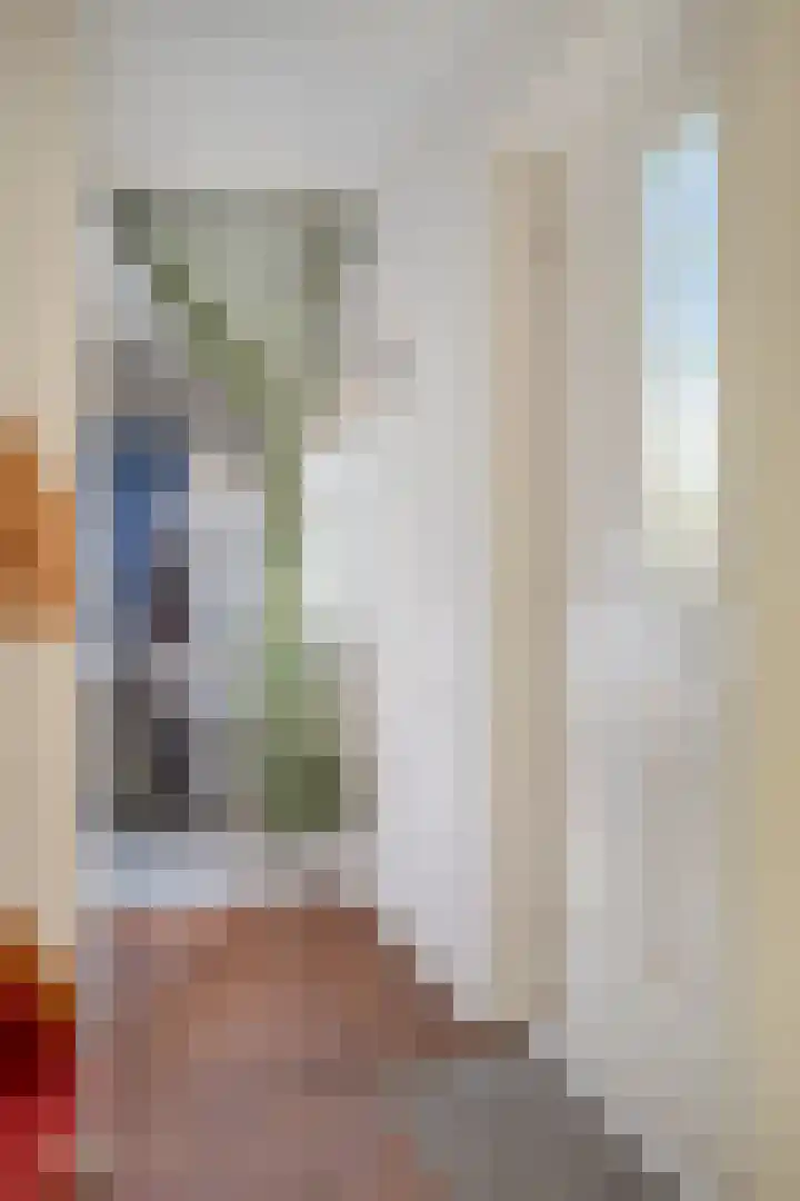 A. van Drielstraat 9 Aalst thumbnail 15
