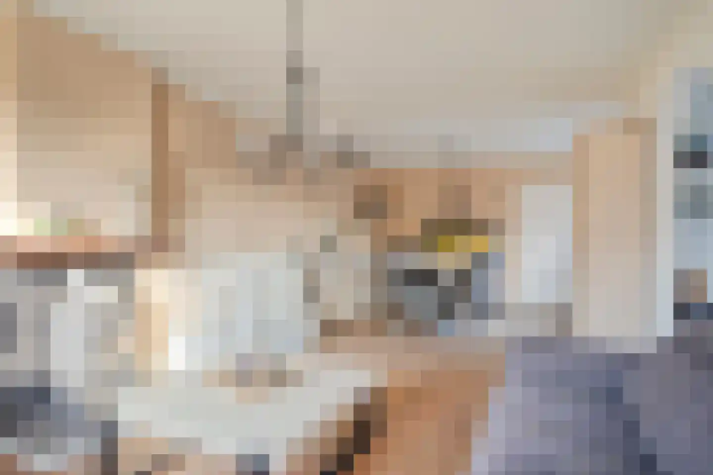 A. van Drielstraat 9 Aalst thumbnail 21