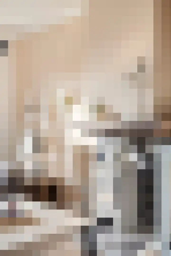 A. van Drielstraat 9 Aalst thumbnail 22