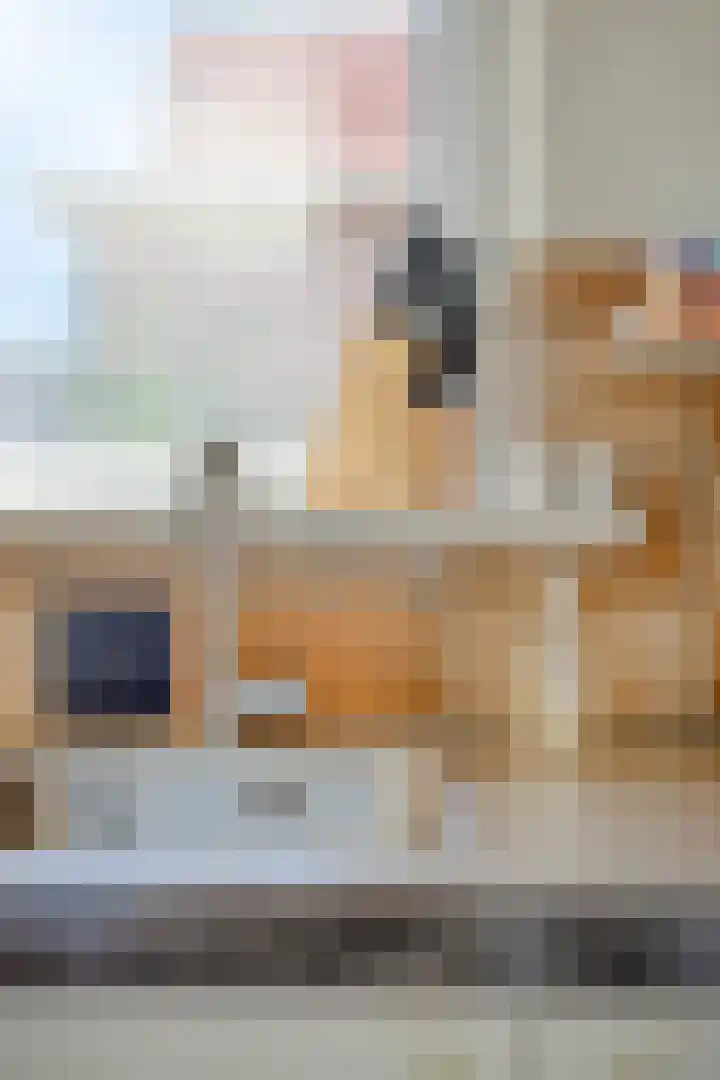 A. van Drielstraat 9 Aalst thumbnail 27