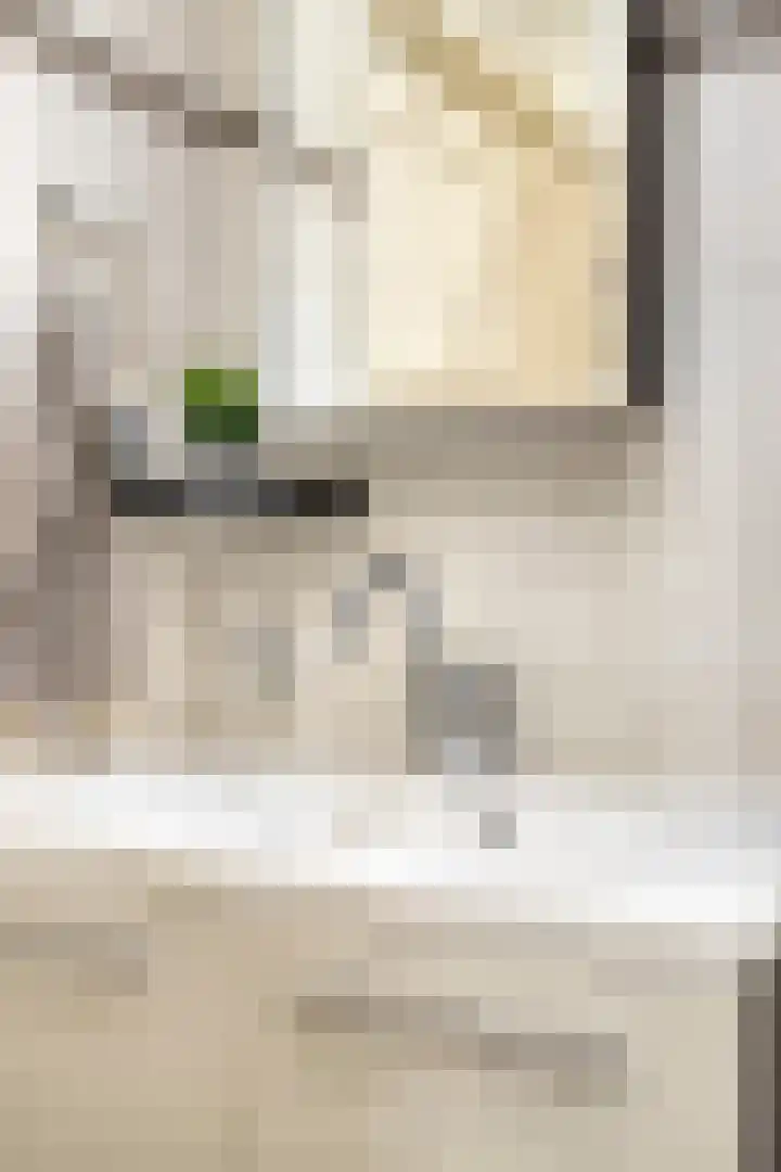 A. van Drielstraat 9 Aalst thumbnail 31