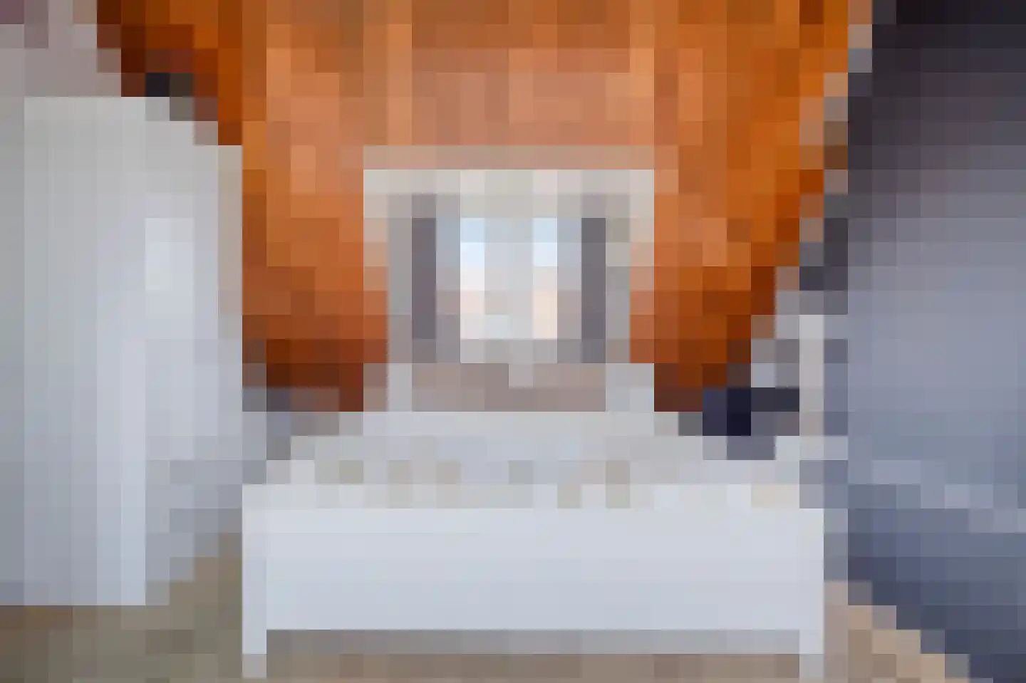 A. van Drielstraat 9 Aalst thumbnail 32
