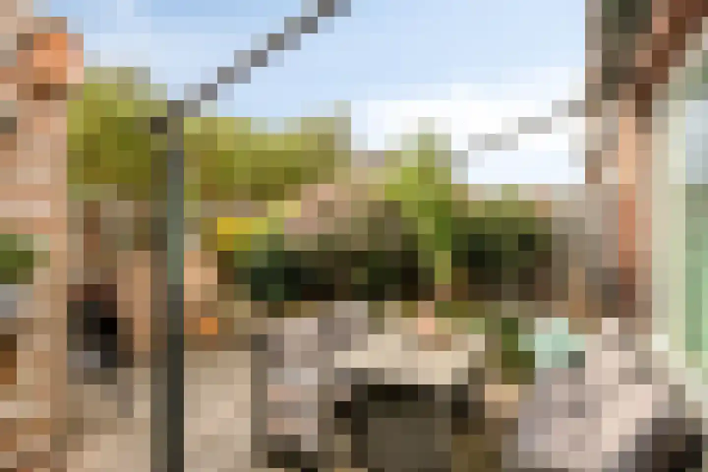 A van Heestraat 19 e Kamperland thumbnail 10