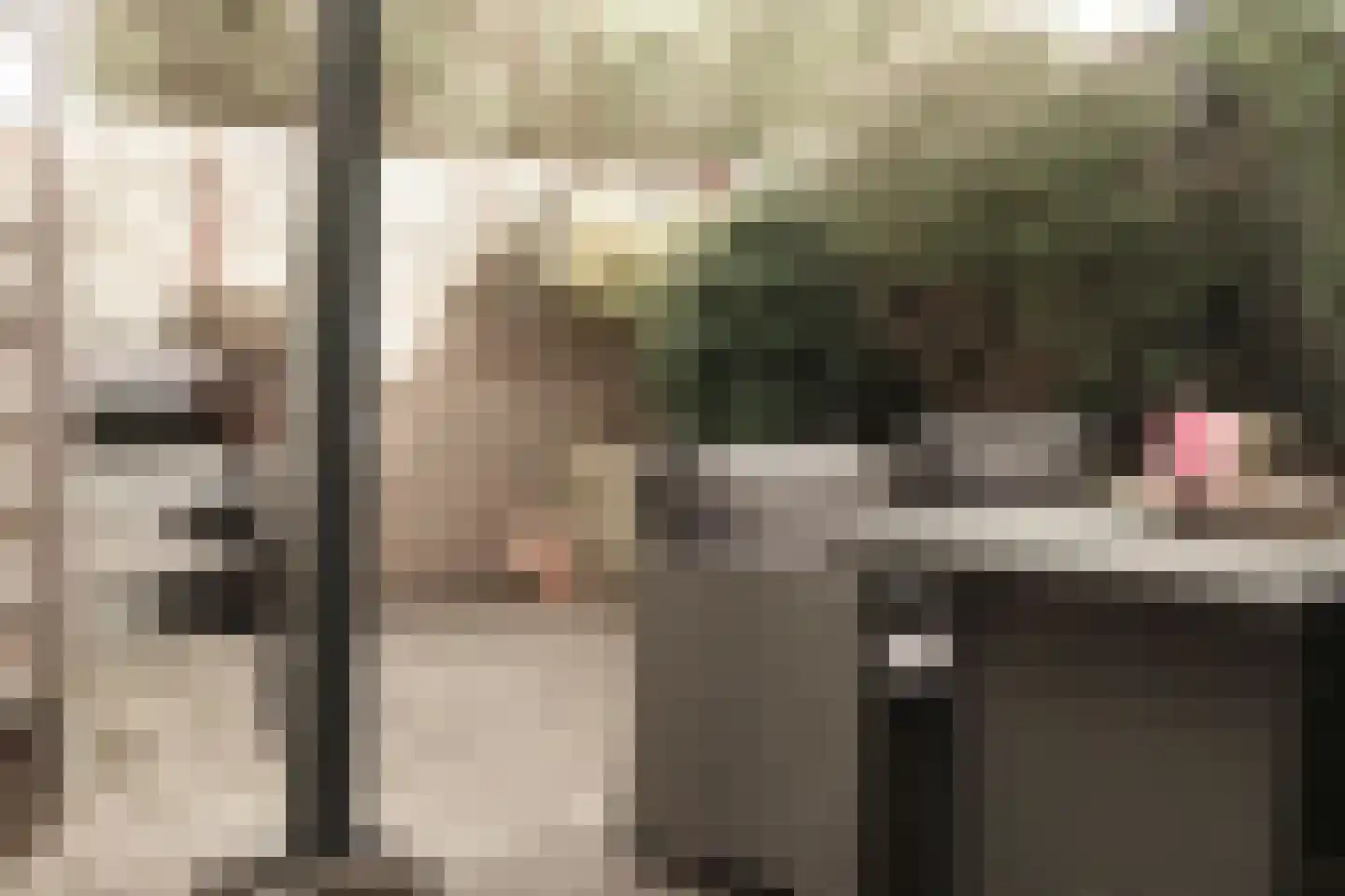 A van Heestraat 19 e Kamperland thumbnail 11