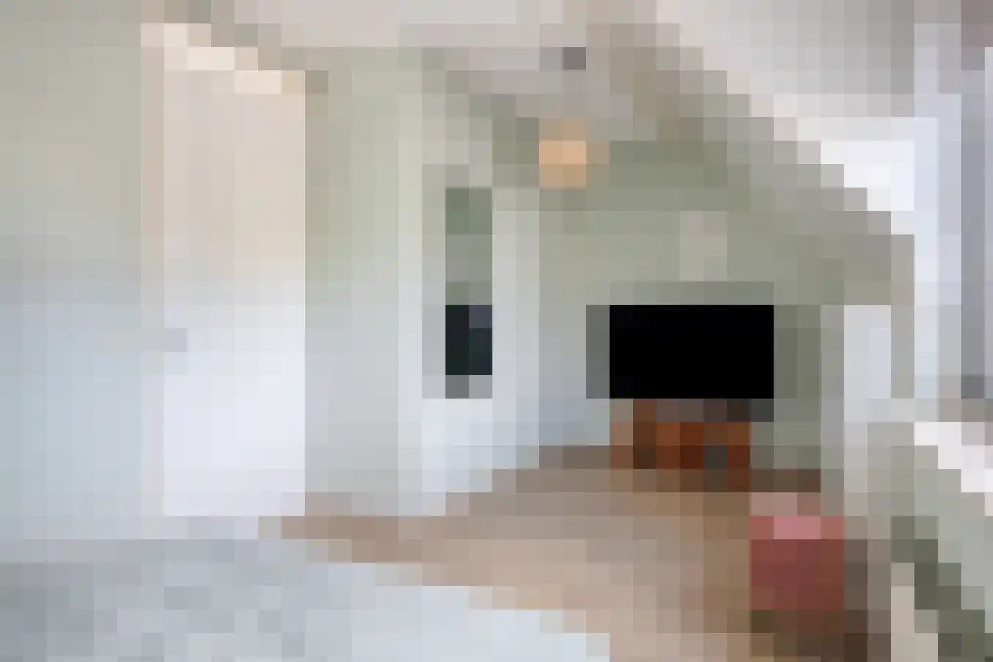 A van Heestraat 19 e Kamperland thumbnail 15