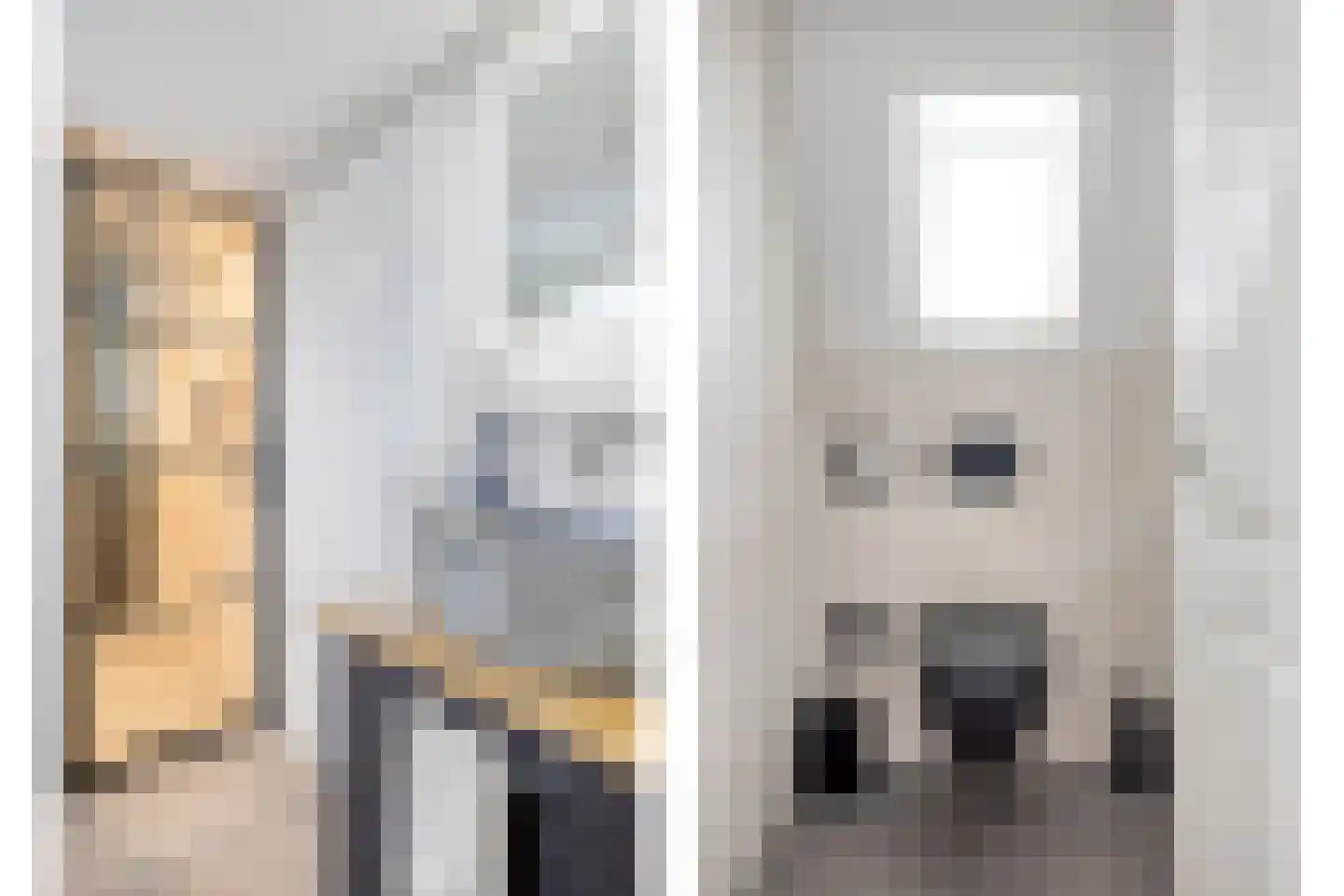 A van Heestraat 26 Kamperland thumbnail 14