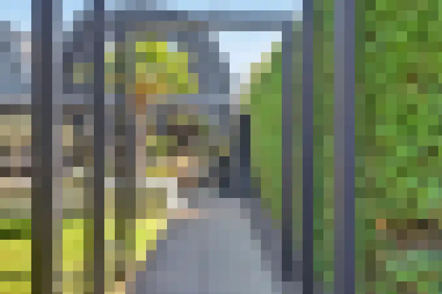 A van Heestraat 40 Kamperland thumbnail 37