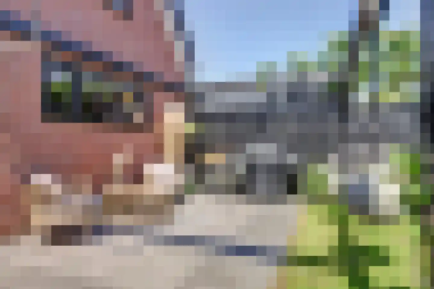 A van Heestraat 40 Kamperland thumbnail 38