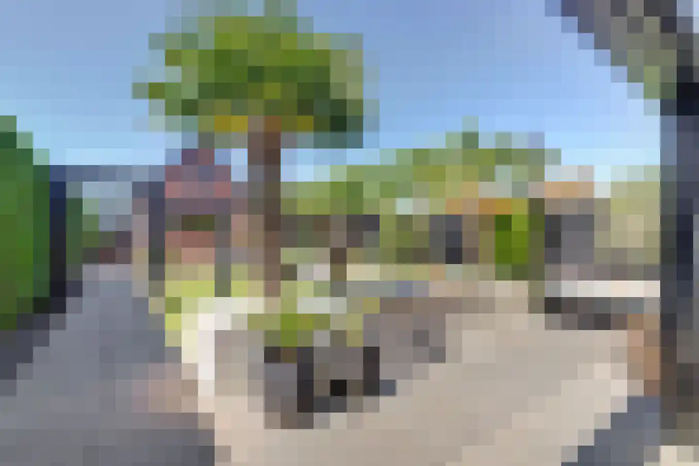 A van Heestraat 40 Kamperland thumbnail 4