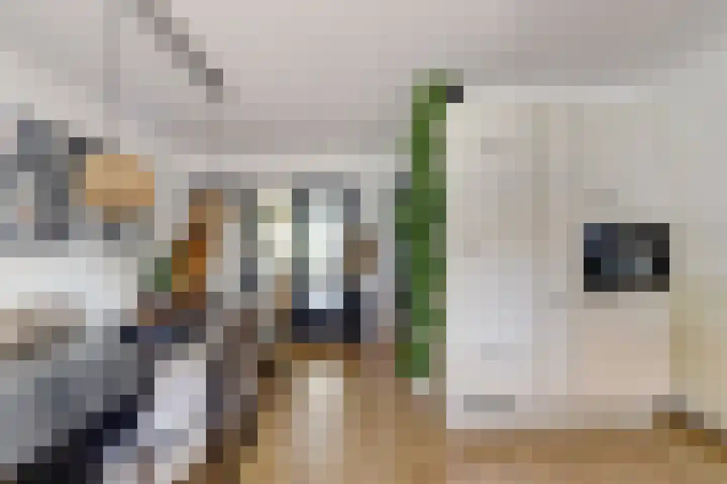 A van Heestraat 40 Kamperland thumbnail 7