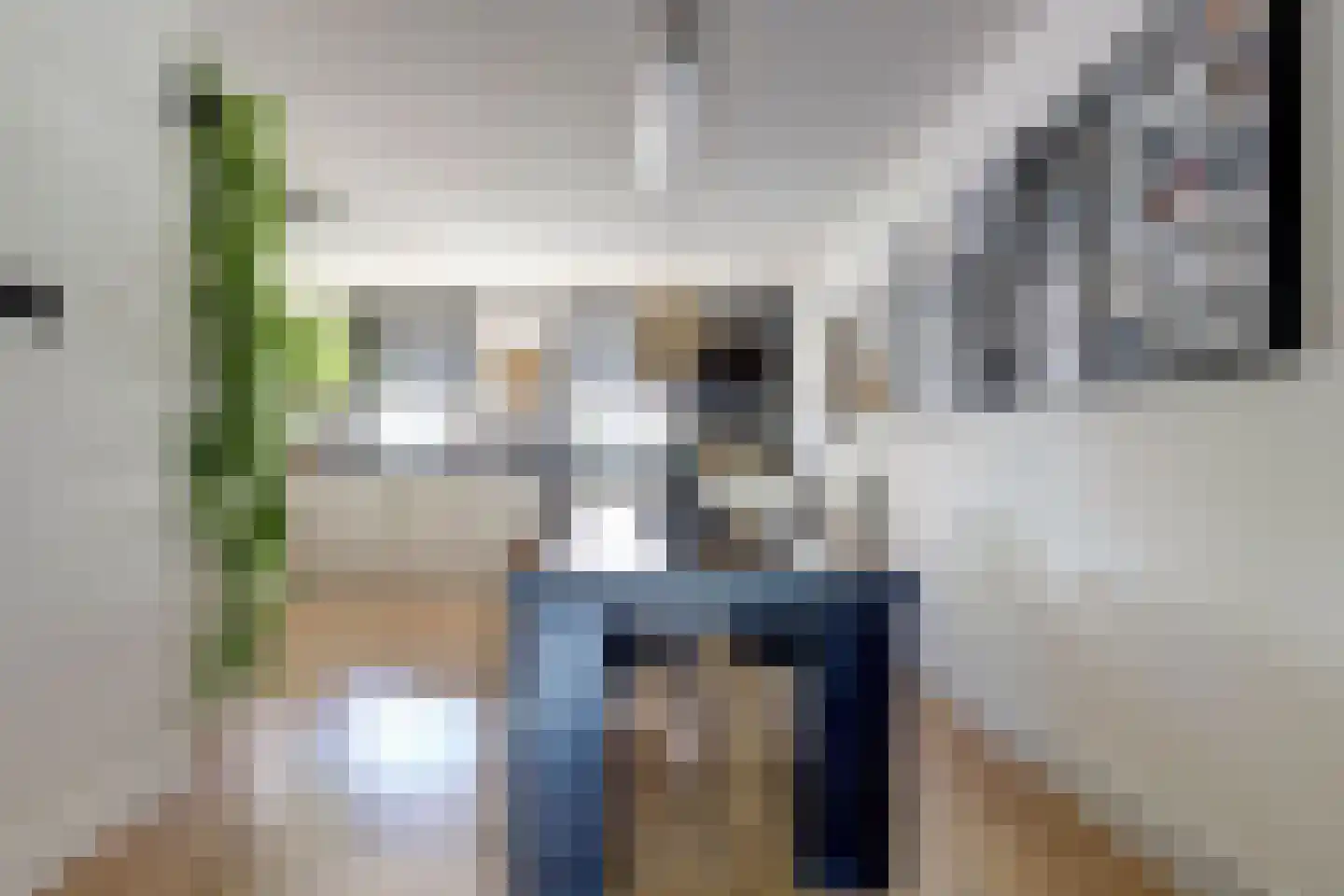 A van Heestraat 40 Kamperland thumbnail 9