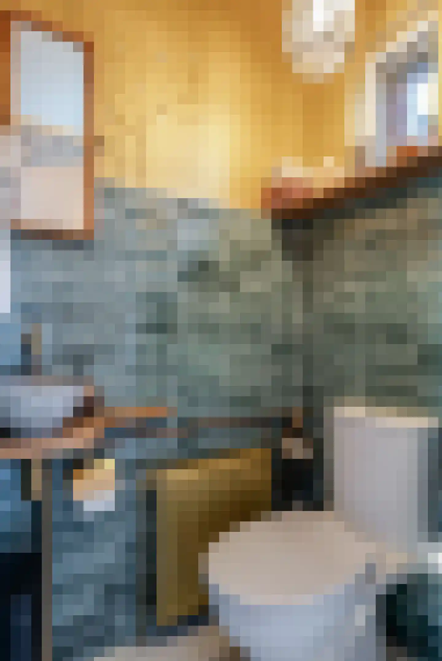 A van Olphenstraat 25 Steenwijk thumbnail 14