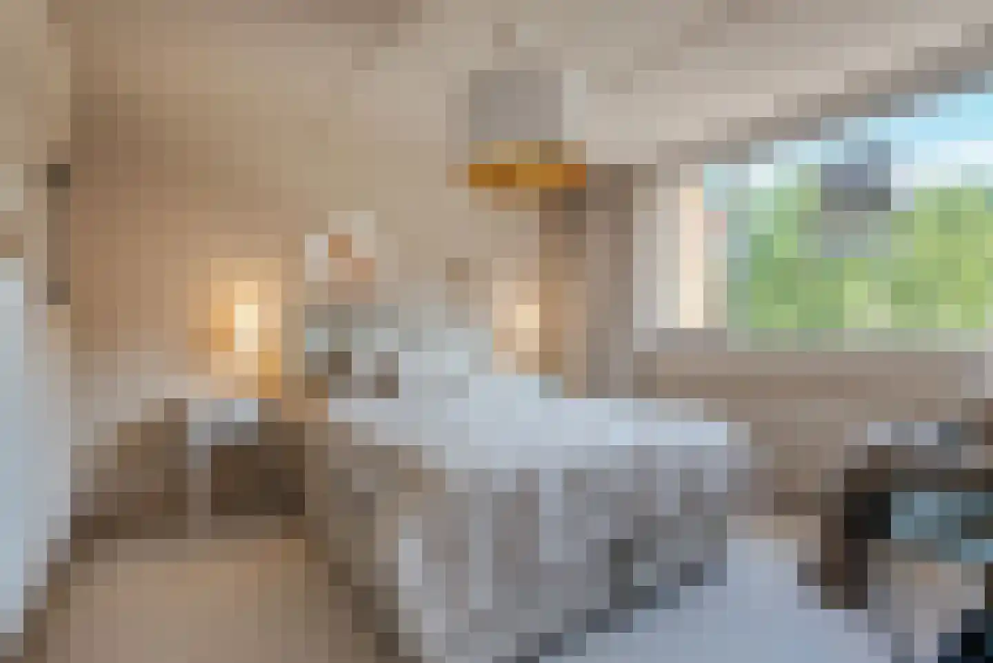 A van Olphenstraat 25 Steenwijk thumbnail 17
