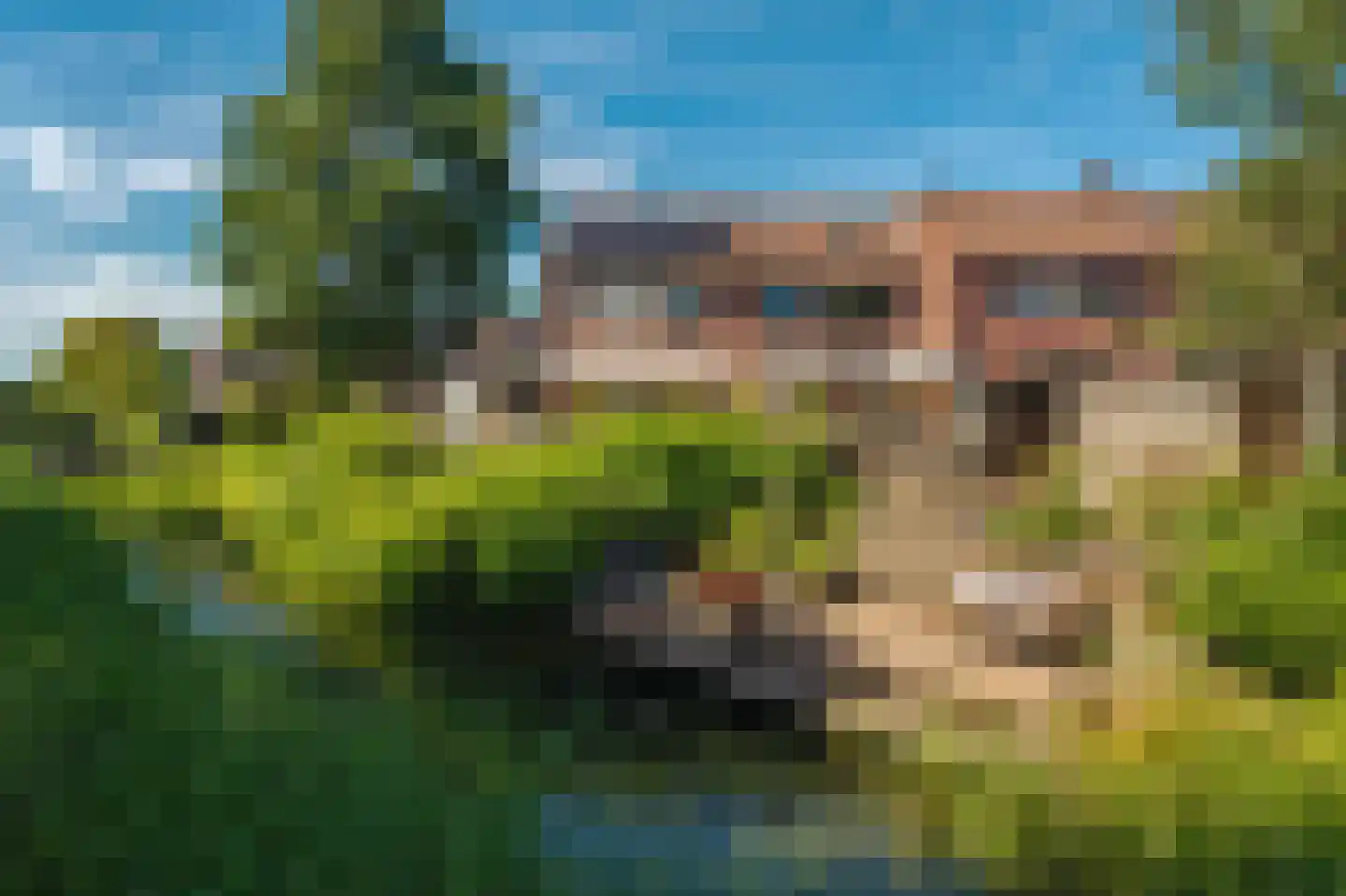 A van Olphenstraat 25 Steenwijk thumbnail 43