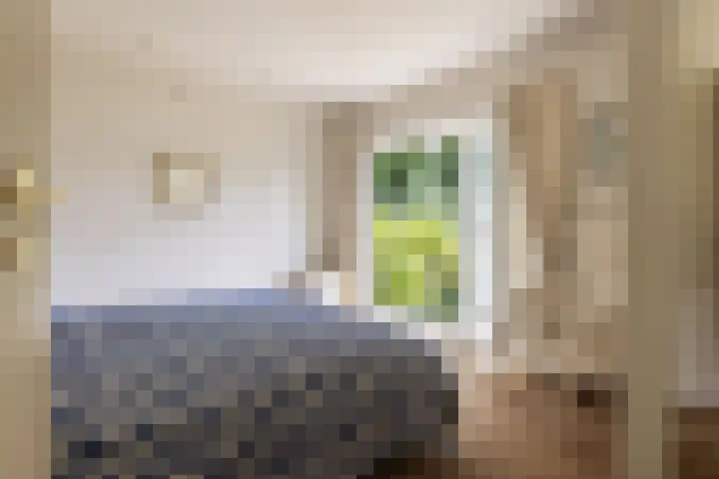 A. van Oudenallenstraat 2 Oosterbeek thumbnail 28