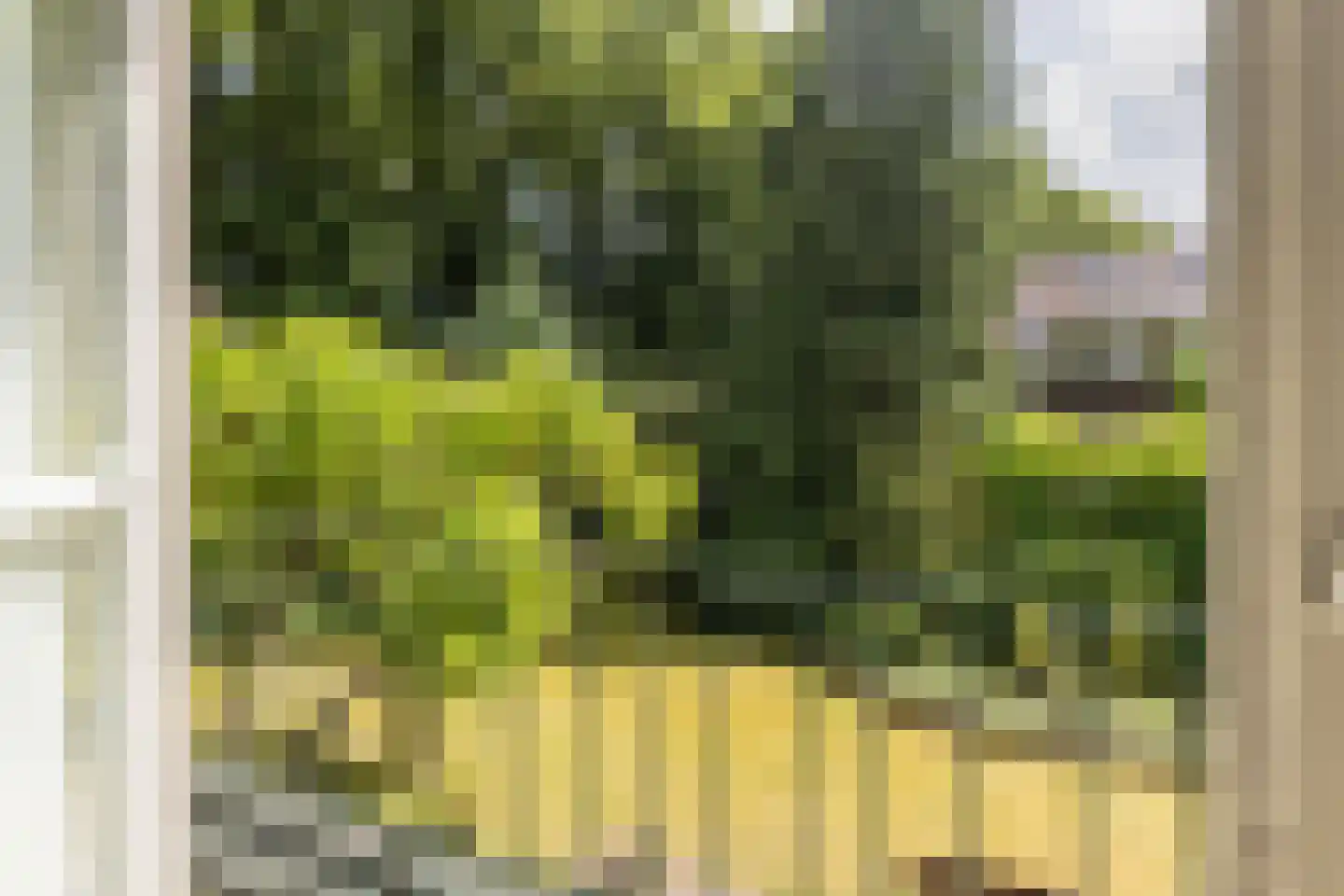 A. van Oudenallenstraat 2 Oosterbeek thumbnail 29