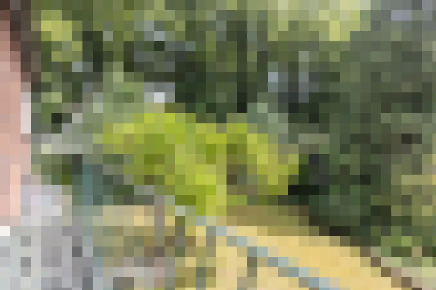 A. van Oudenallenstraat 2 Oosterbeek thumbnail 30