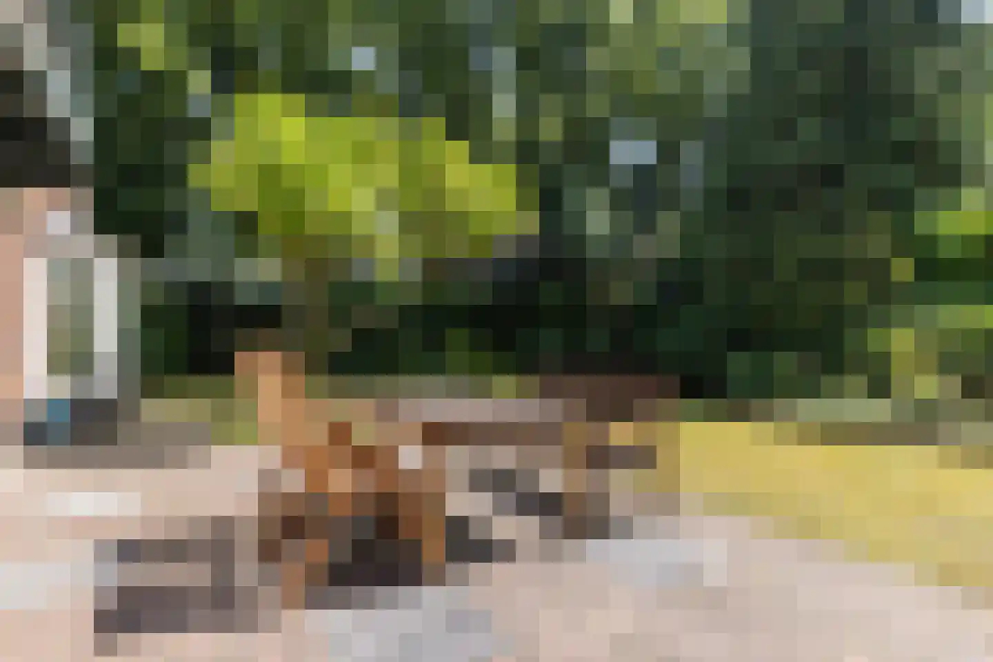 A. van Oudenallenstraat 2 Oosterbeek thumbnail 38
