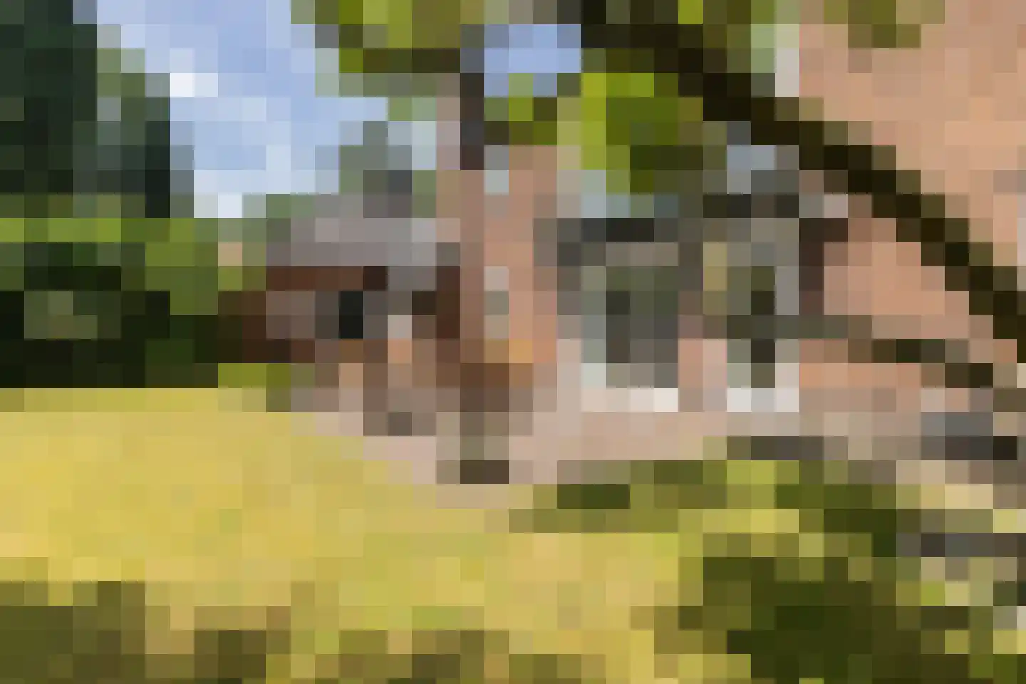 A. van Oudenallenstraat 2 Oosterbeek thumbnail 4