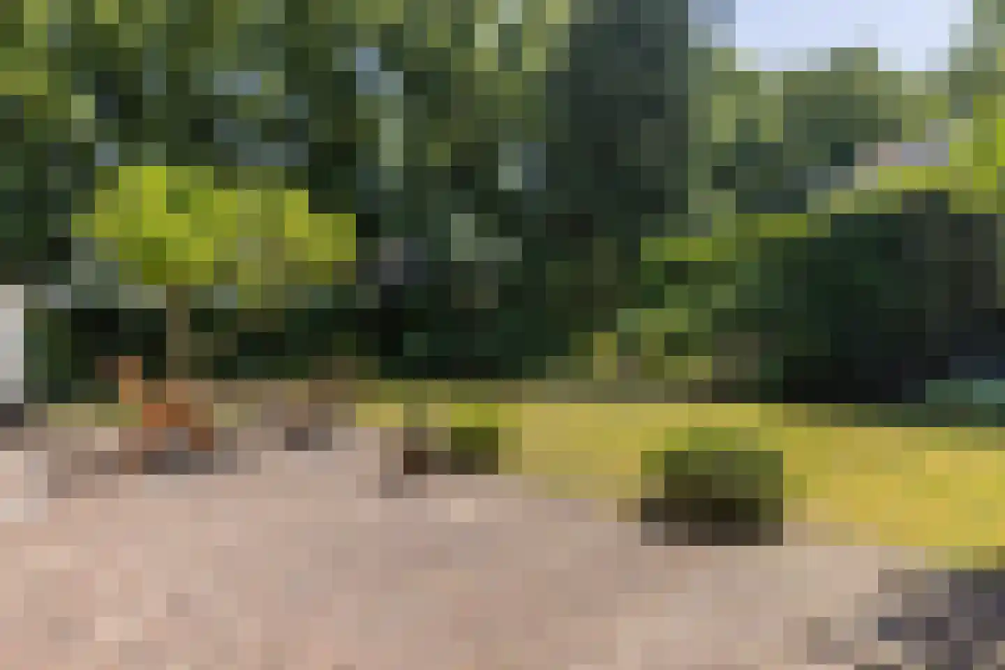 A. van Oudenallenstraat 2 Oosterbeek thumbnail 40