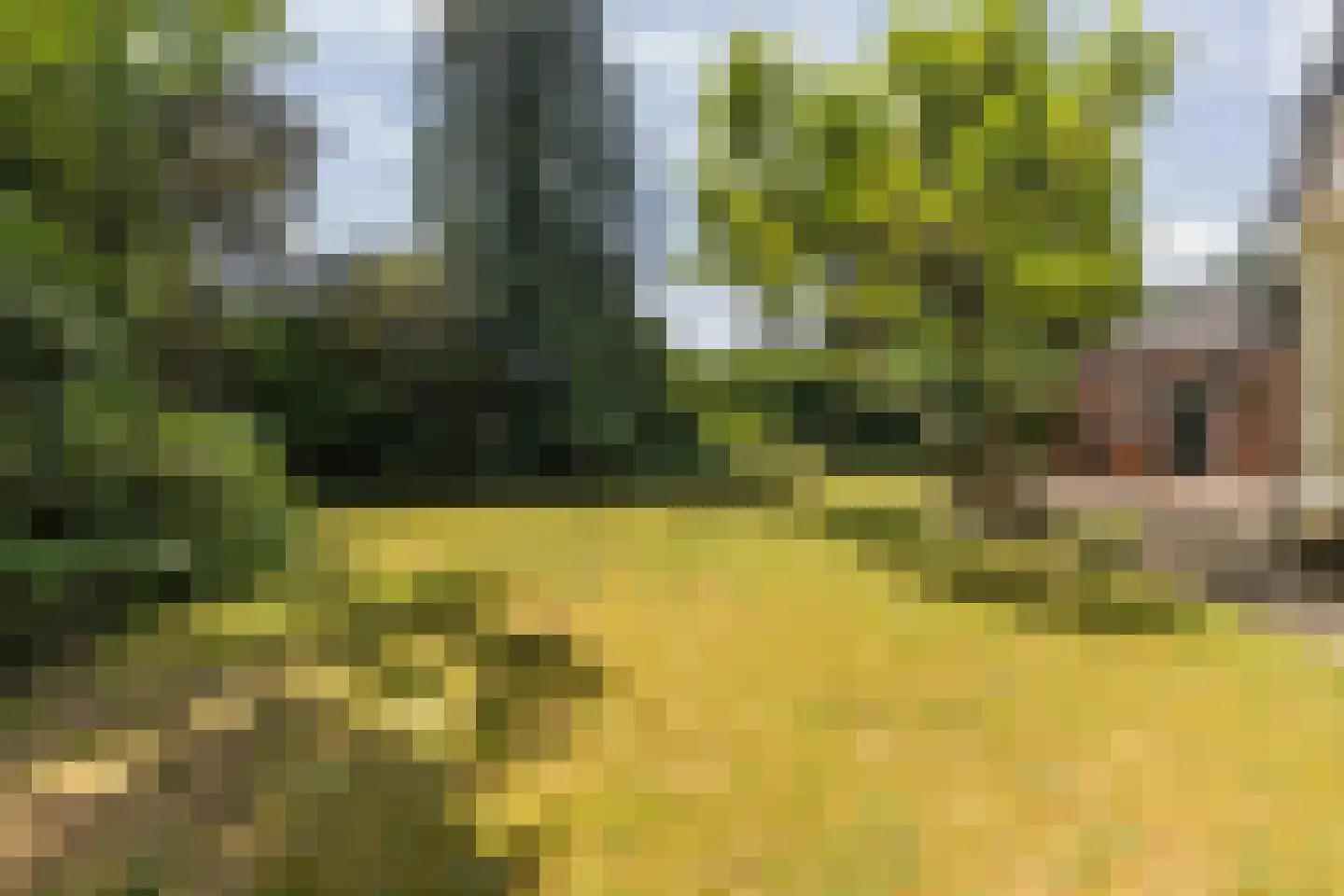 A. van Oudenallenstraat 2 Oosterbeek thumbnail 41