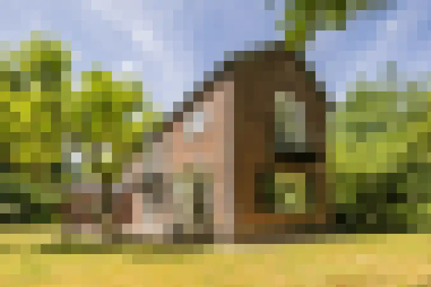A. van Oudenallenstraat 2 Oosterbeek thumbnail 42