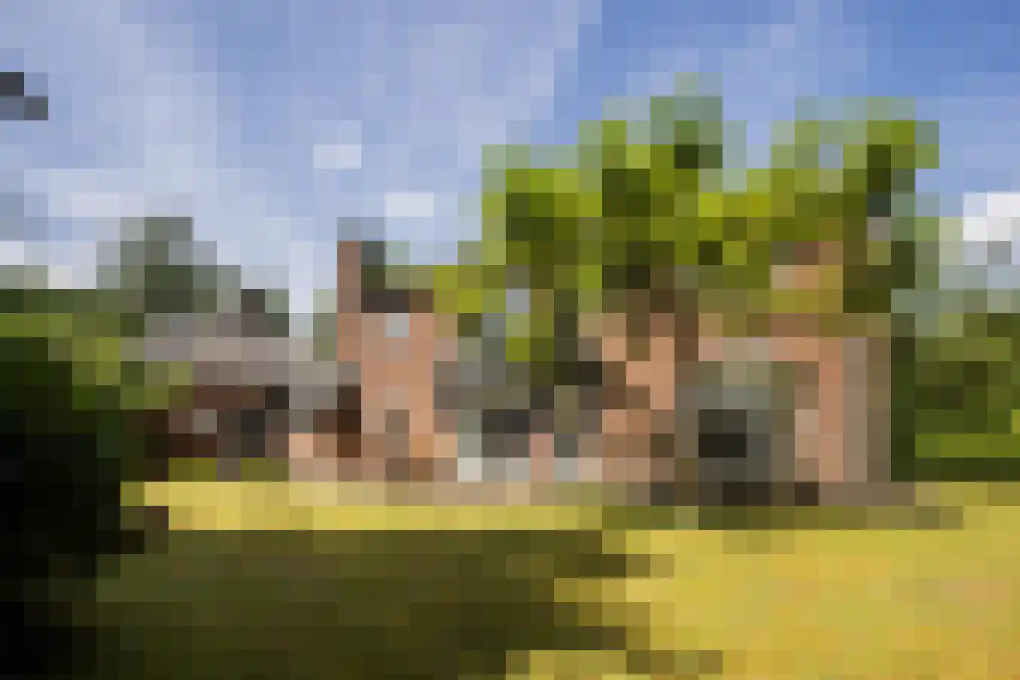 A. van Oudenallenstraat 2 Oosterbeek thumbnail 44