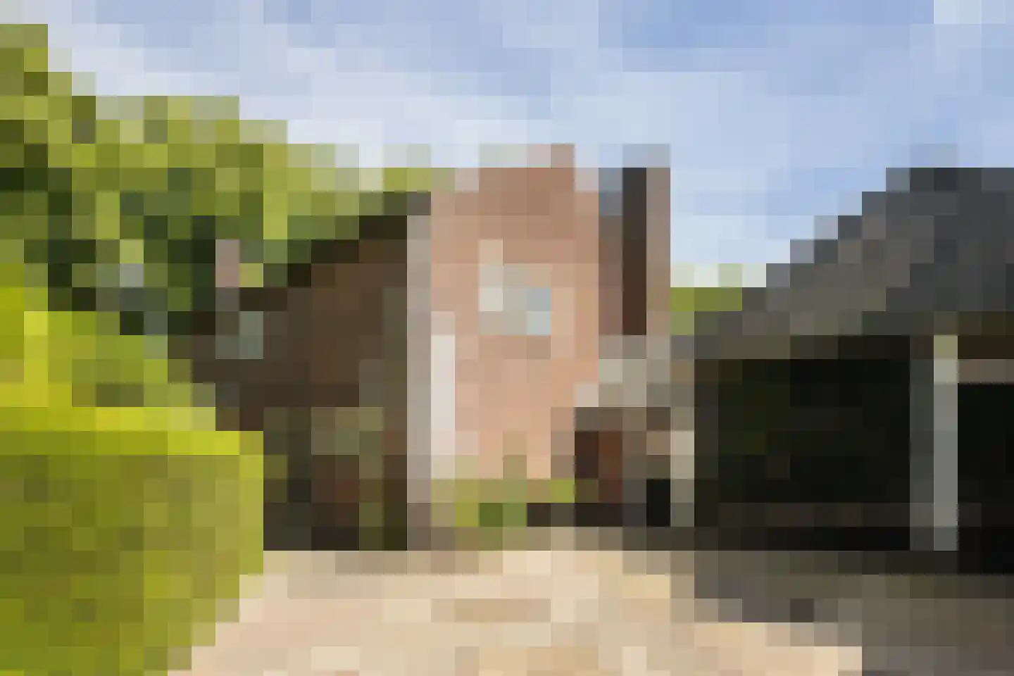 A. van Oudenallenstraat 2 Oosterbeek thumbnail 6