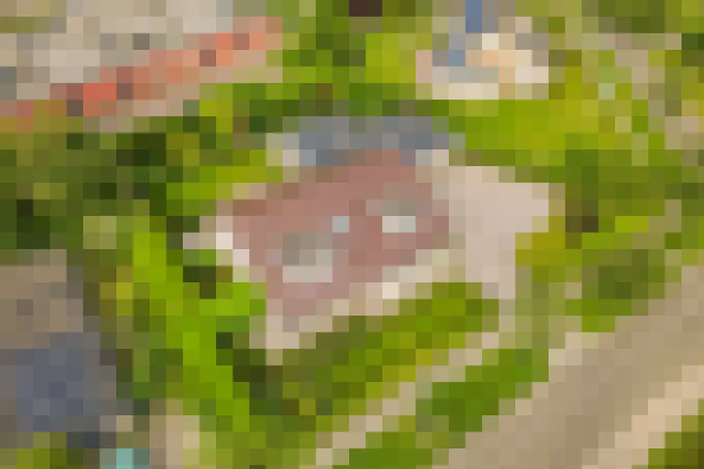 A.van Saksenlaan 13 Goes thumbnail 12