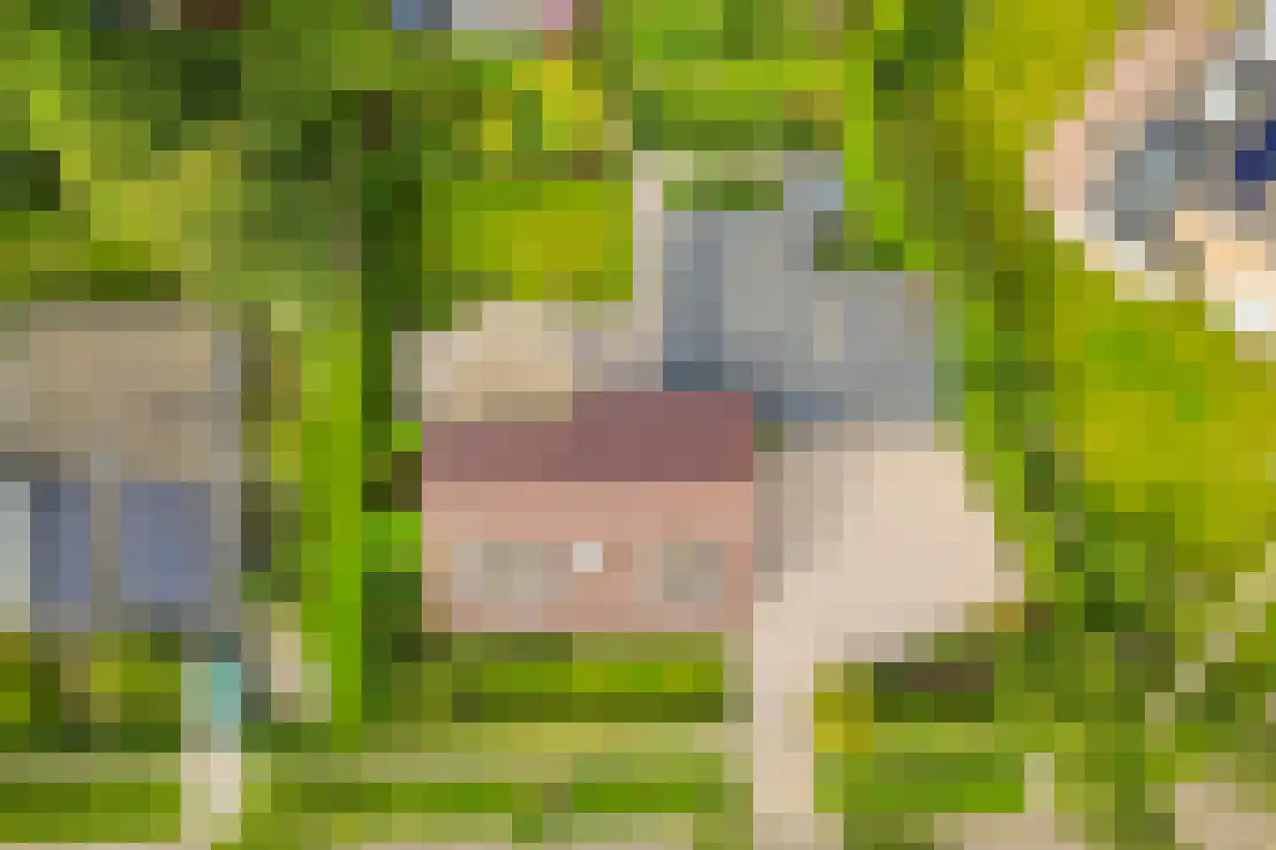 A.van Saksenlaan 13 Goes thumbnail 13