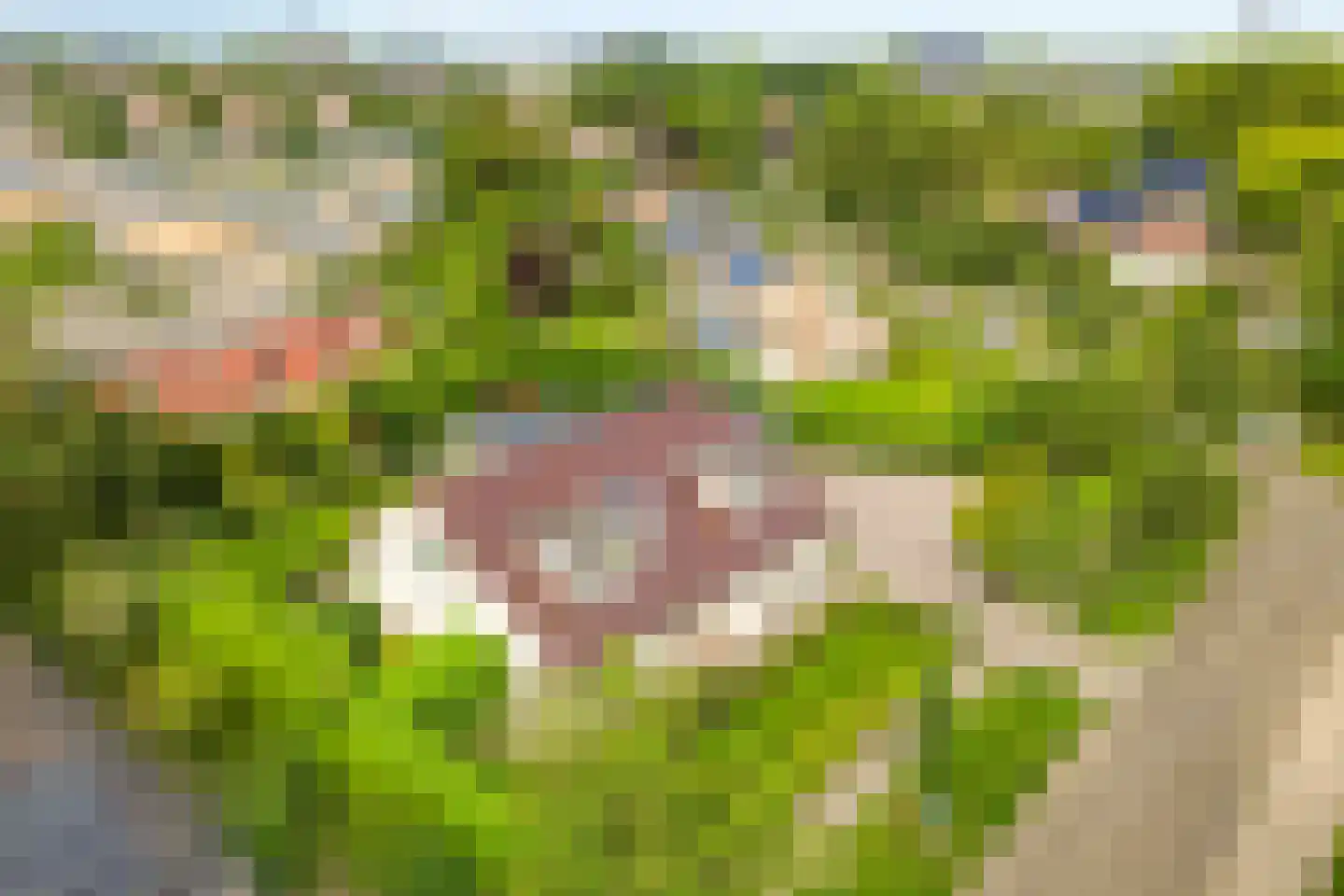A.van Saksenlaan 13 Goes thumbnail 17