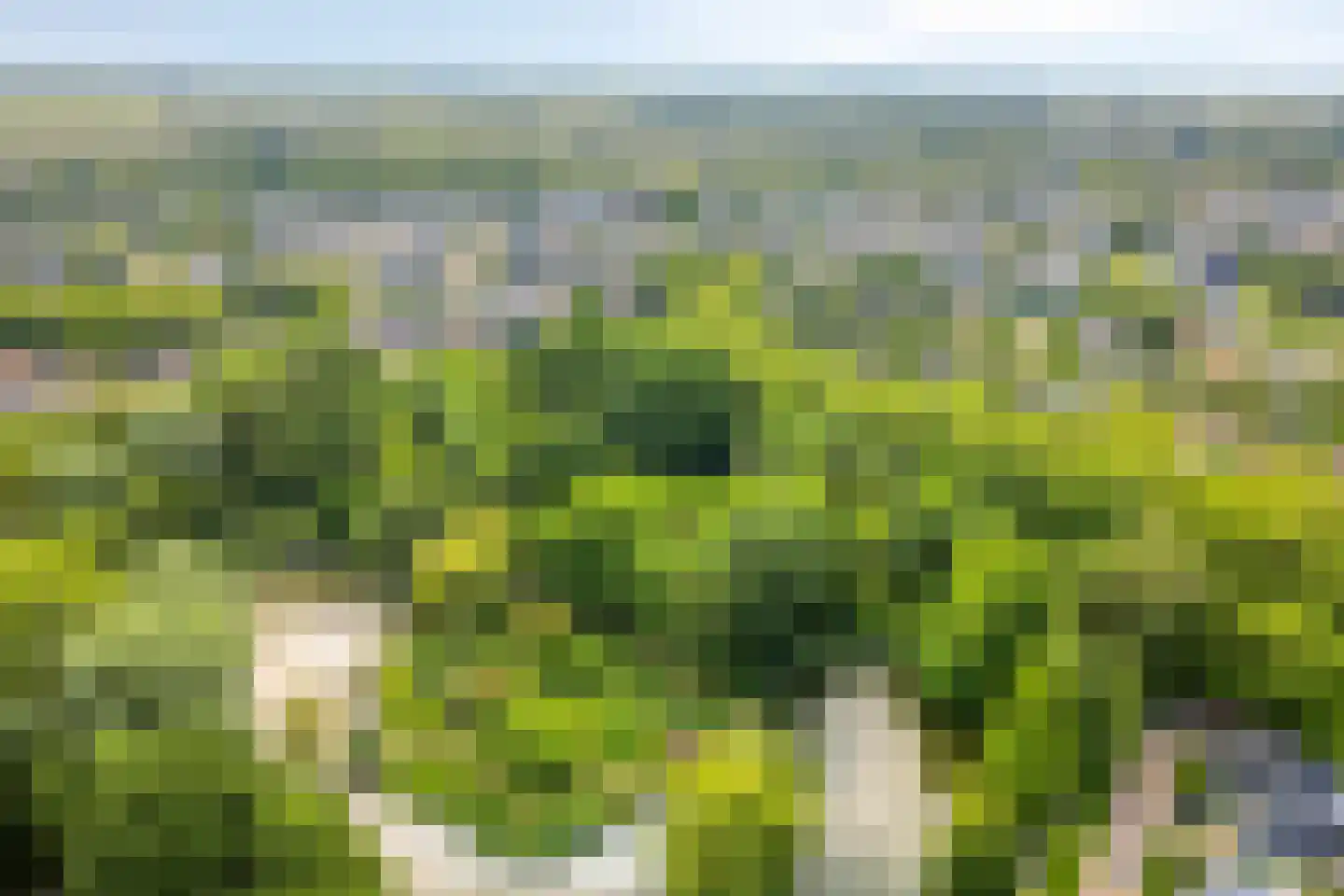 A.van Saksenlaan 13 Goes thumbnail 20