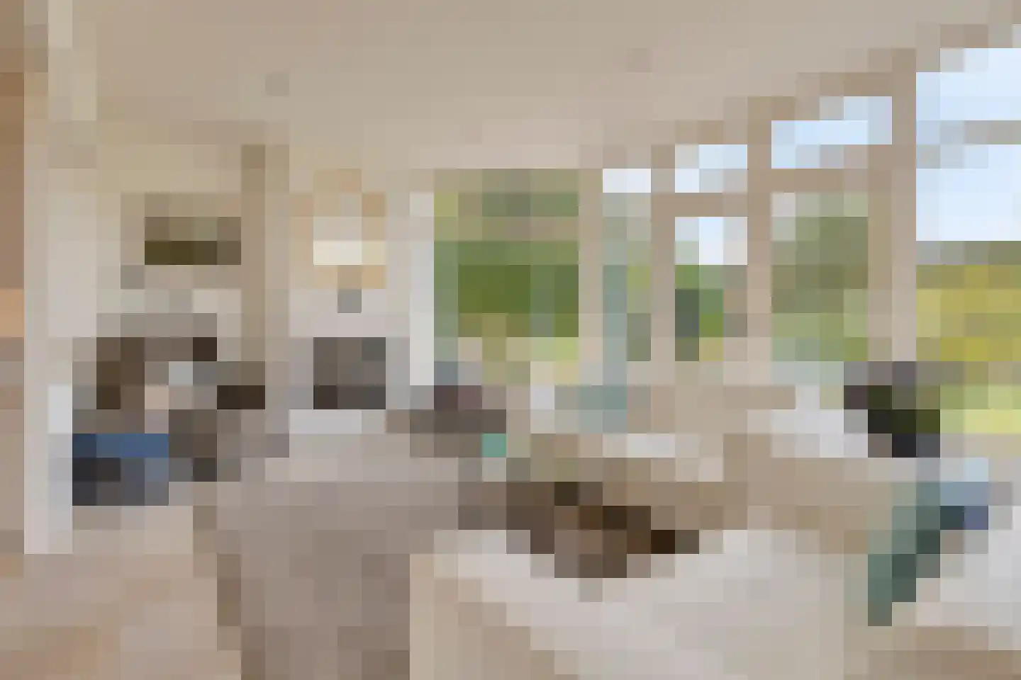 A.van Saksenlaan 13 Goes thumbnail 35
