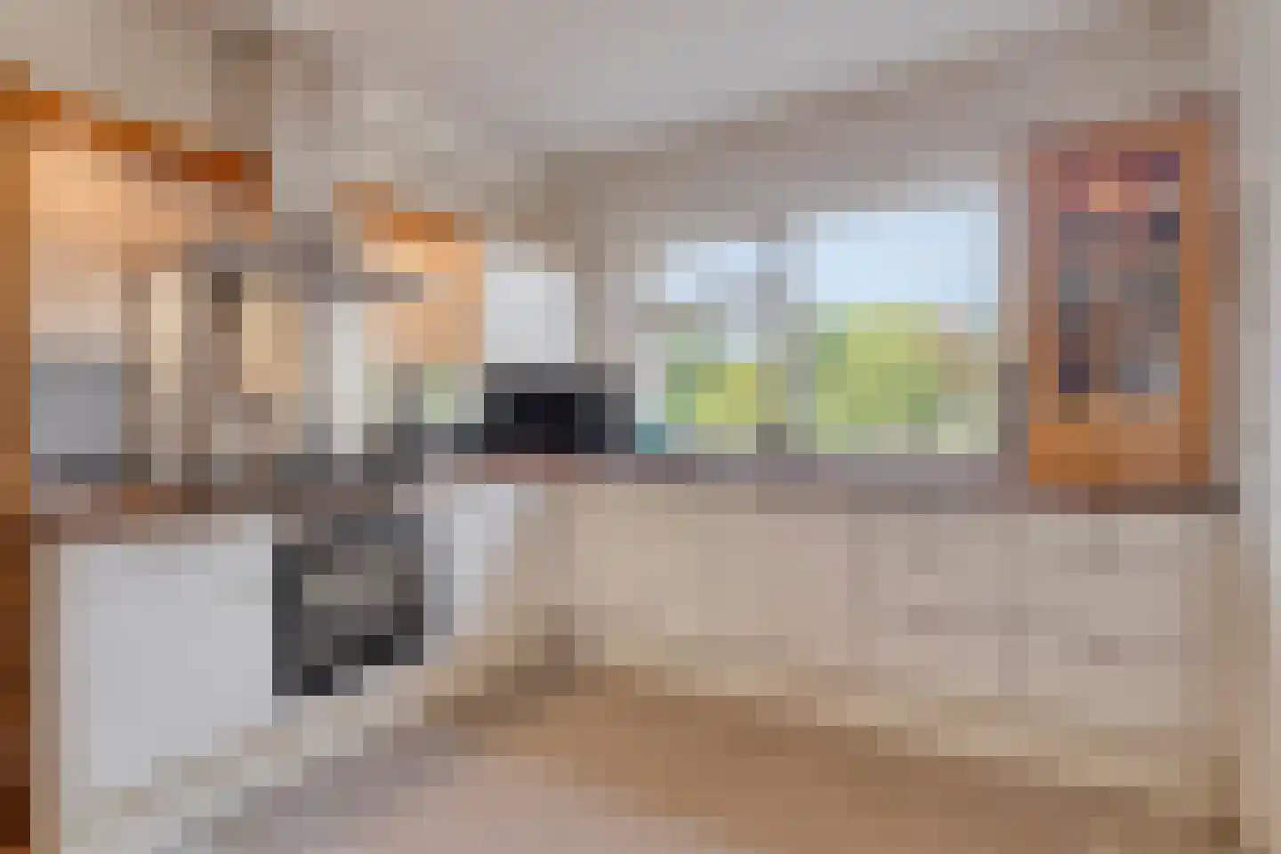 A.van Saksenlaan 13 Goes thumbnail 38