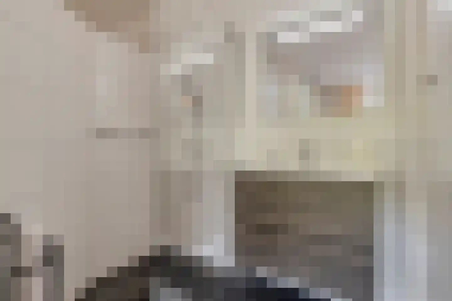 A.van Saksenlaan 13 Goes thumbnail 43