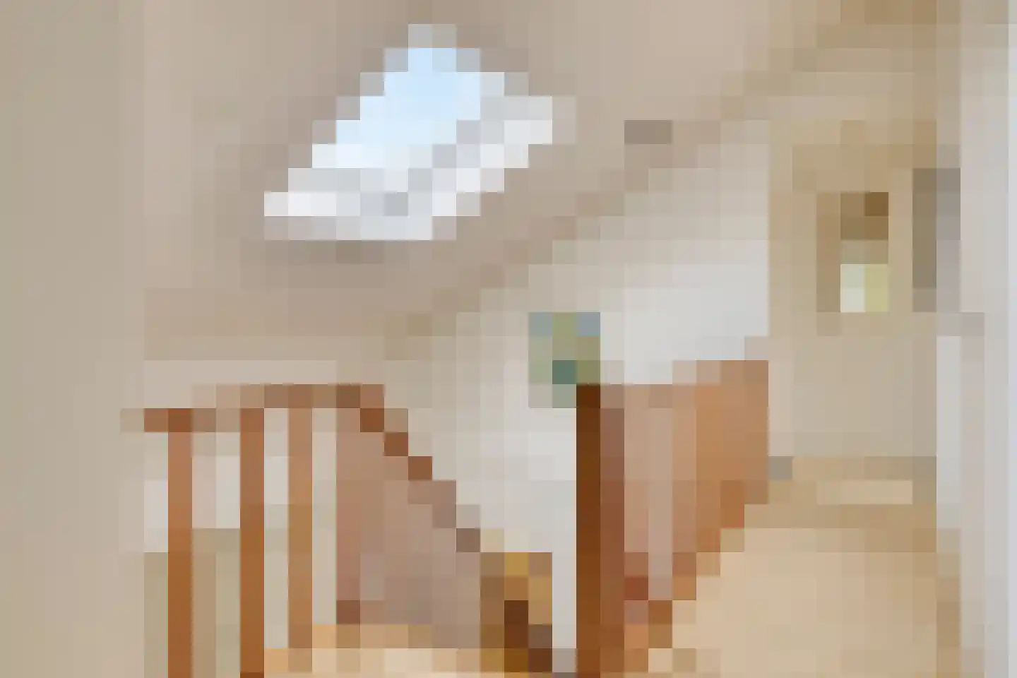 A.van Saksenlaan 13 Goes thumbnail 45