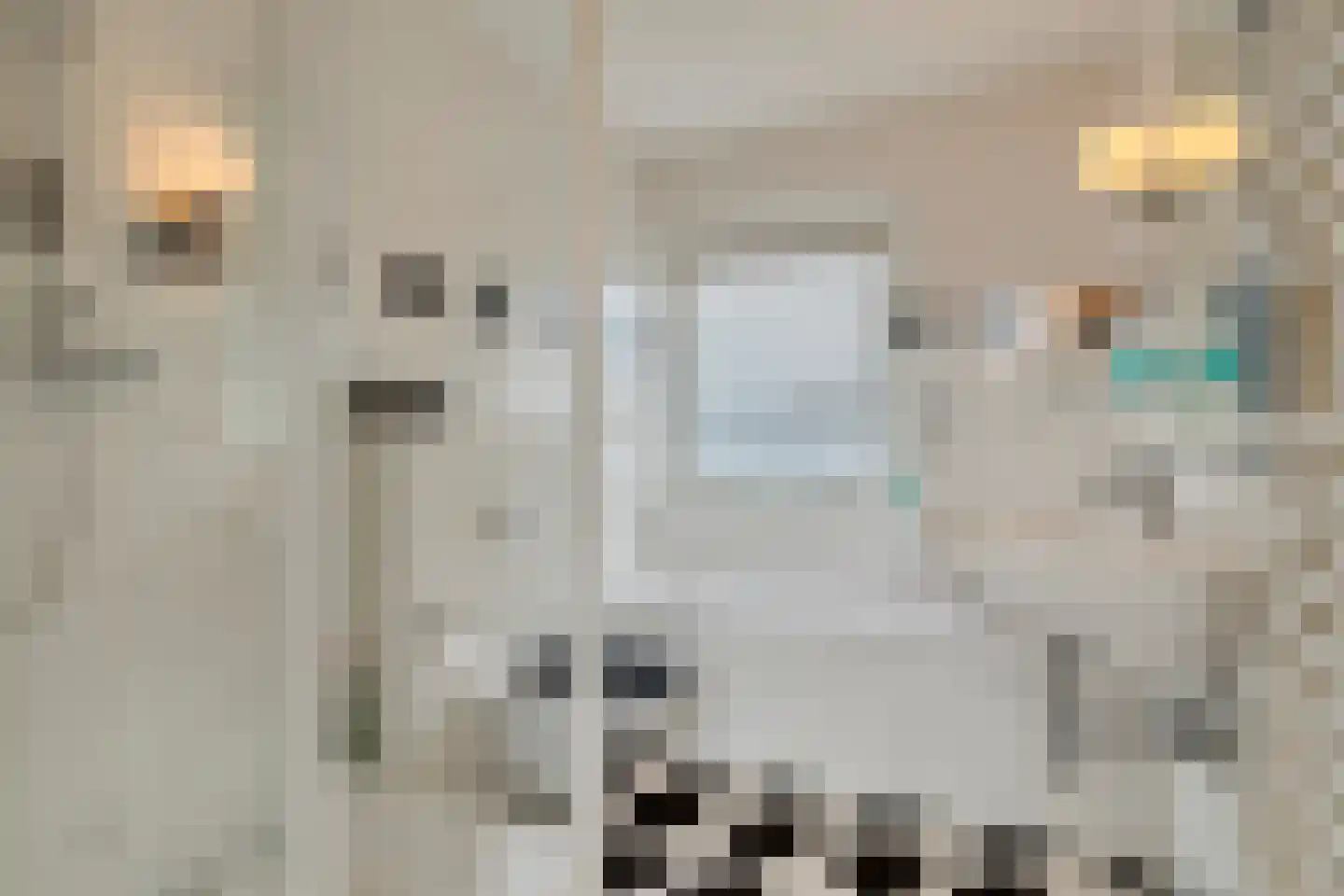 A.van Saksenlaan 13 Goes thumbnail 49