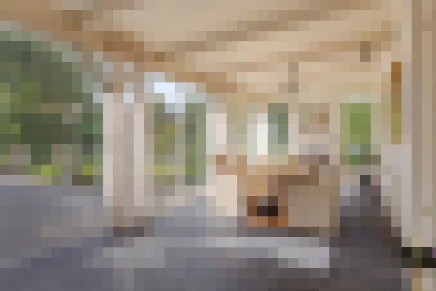 A.van Saksenlaan 13 Goes thumbnail 56