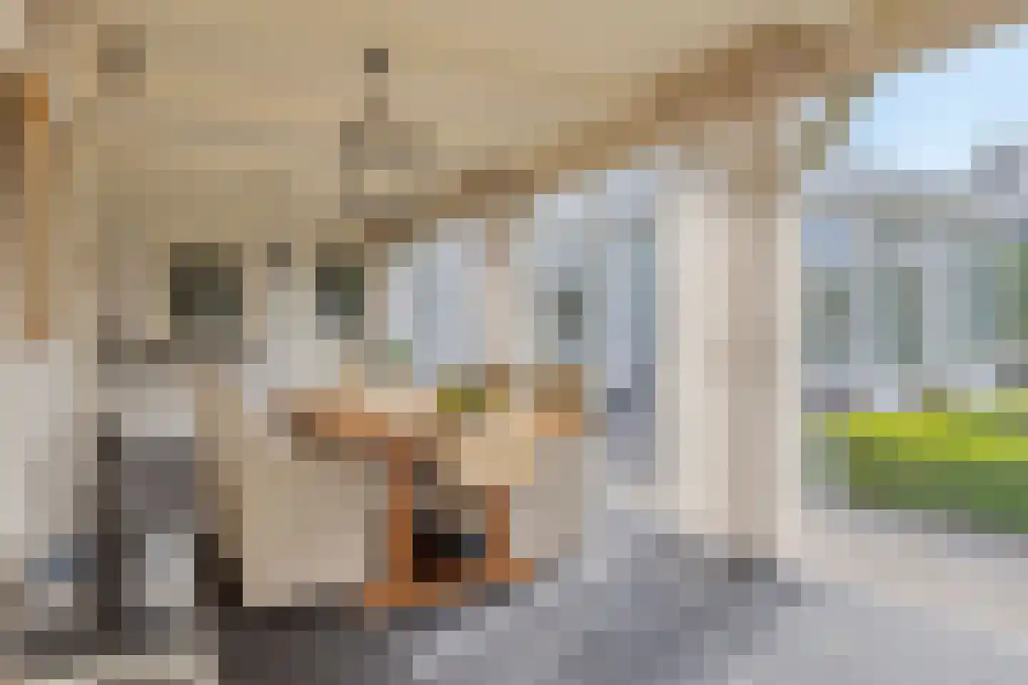 A.van Saksenlaan 13 Goes thumbnail 57